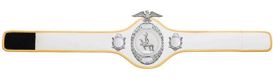 WRESTLING CHAMPIONSHIP BELT-PRO288/S/WRES - 10 COLOURS